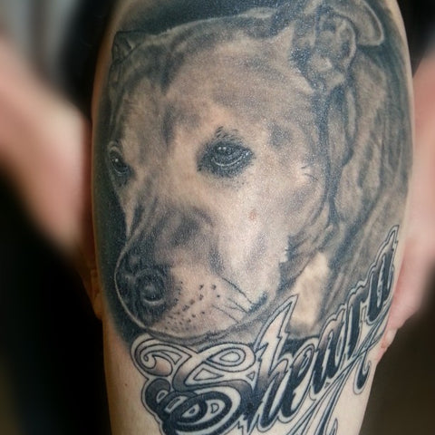 Black and Grey Realism Dog