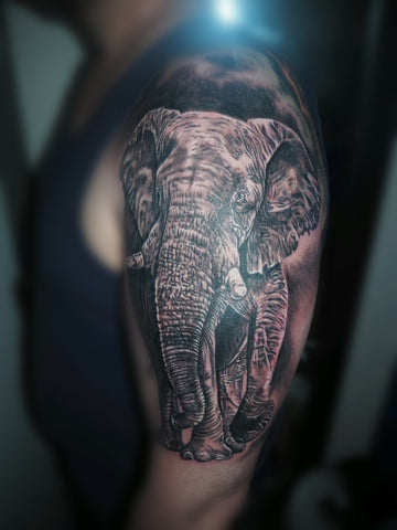 Black and Grey Realism Elephant