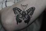 Black and Grey Butterfly Tattoo