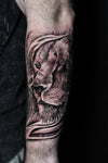 Black and Grey Realism Lion